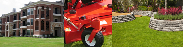 Commercial Lawn Maintenance